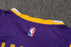 Los Angeles Lakers #23 LeBron James Purple Swingman Jersey גופיית כדורסל - Sport&more